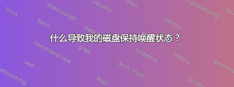 什么导致我的磁盘保持唤醒状态？