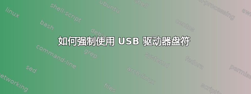 如何强制使用 USB 驱动器盘符