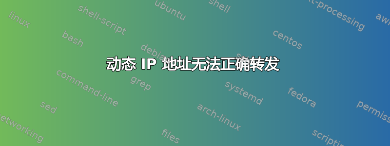 动态 IP 地址无法正确转发