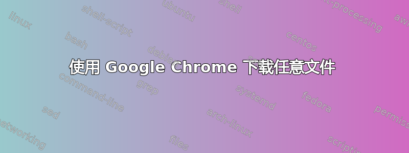 使用 Google Chrome 下载任意文件