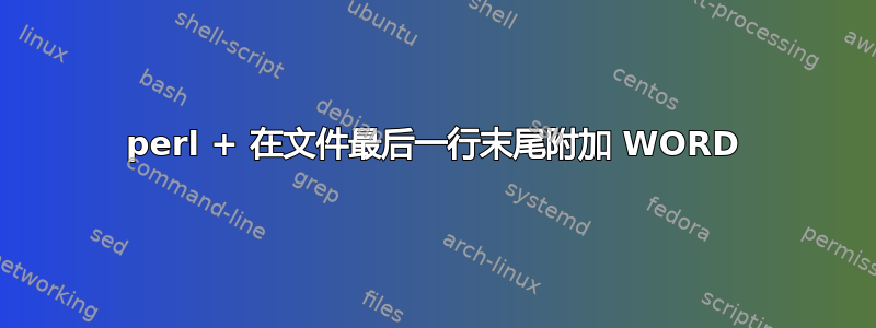 perl + 在文件最后一行末尾附加 WORD