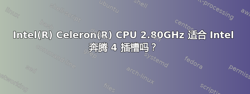 Intel(R) Celeron(R) CPU 2.80GHz 适合 Intel 奔腾 4 插槽吗？