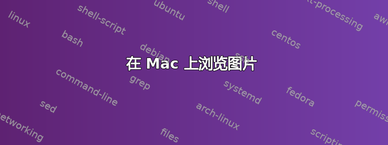 在 Mac 上浏览图片