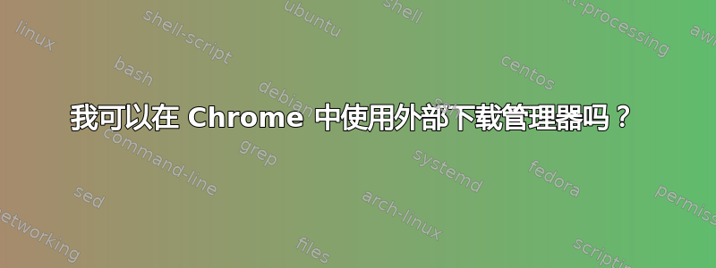 我可以在 Chrome 中使用外部下载管理器吗？