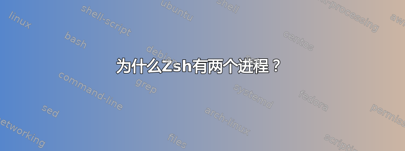 为什么Zsh有两个进程？