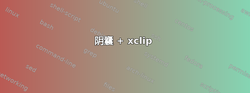 阴囊 + xclip