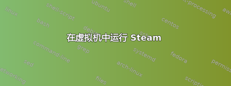 在虚拟机中运行 Steam