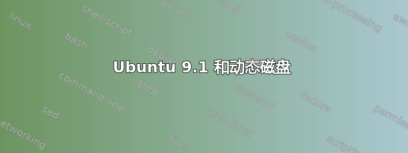 Ubuntu 9.1 和动态磁盘