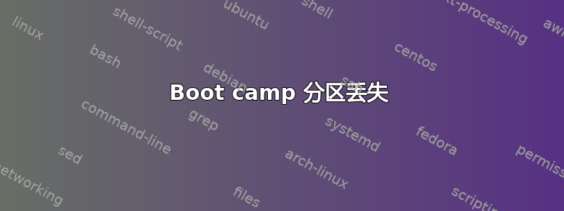 Boot camp 分区丢失