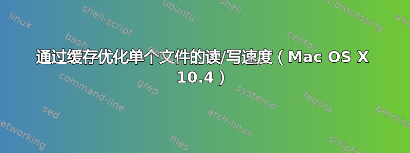 通过缓存优化单个文件的读/写速度（Mac OS X 10.4）