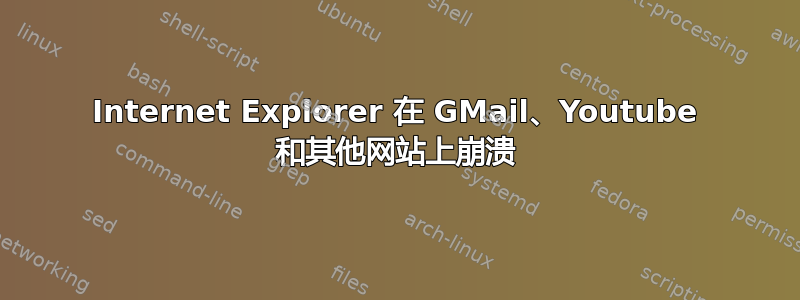 Internet Explorer 在 GMail、Youtube 和其他网站上崩溃