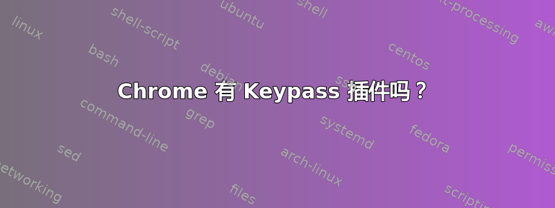 Chrome 有 Keypass 插件吗？