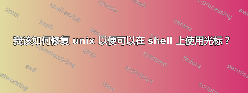 我该如何修复 unix 以便可以在 shell 上使用光标？