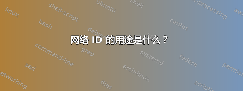 网络 ID 的用途是什么？