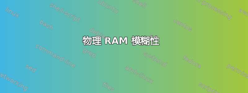 物理 RAM 模糊性 