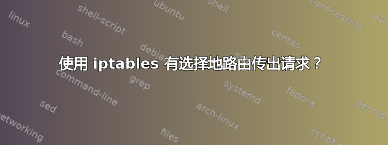 使用 iptables 有选择地路由传出请求？