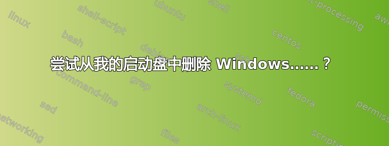 尝试从我的启动盘中删除 Windows……？