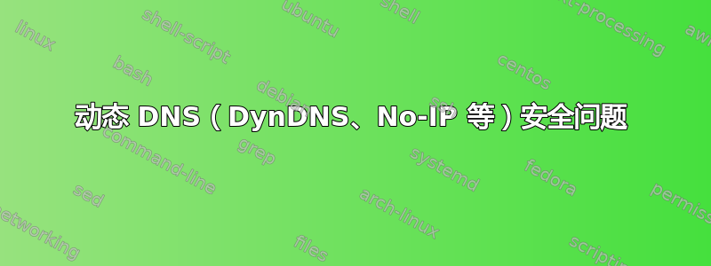 动态 DNS（DynDNS、No-IP 等）安全问题