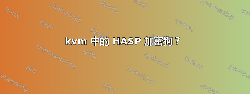 kvm 中的 HASP 加密狗？