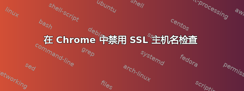 在 Chrome 中禁用 SSL 主机名检查