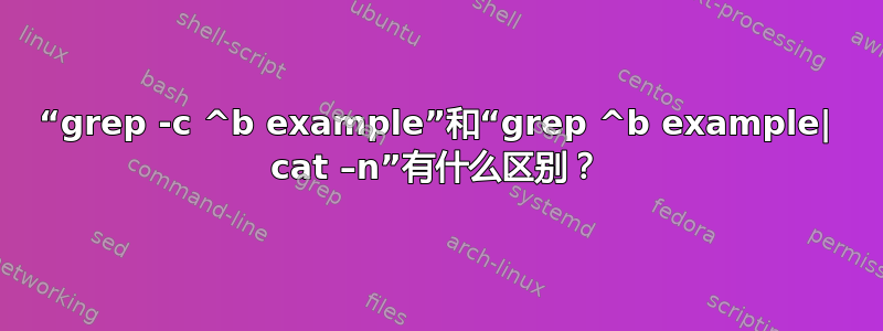 “grep -c ^b example”和“grep ^b example| cat –n”有什么区别？