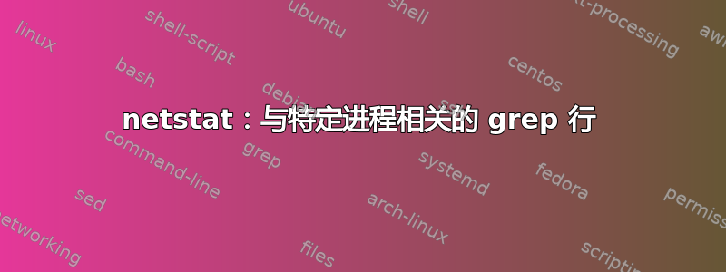 netstat：与特定进程相关的 grep 行