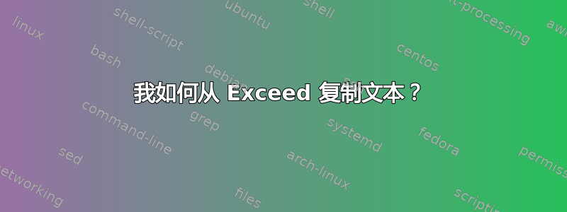 我如何从 Exceed 复制文本？