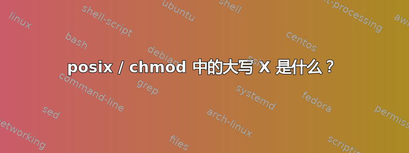 posix / chmod 中的大写 X 是什么？