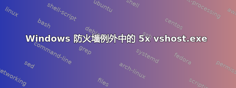 Windows 防火墙例外中的 5x vshost.exe