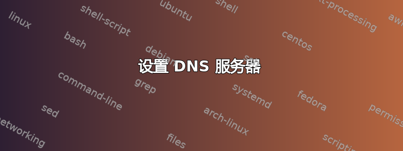 设置 DNS 服务器