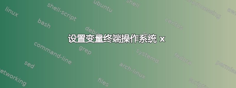 设置变量终端操作系统 x