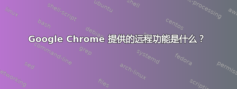 Google Chrome 提供的远程功能是什么？