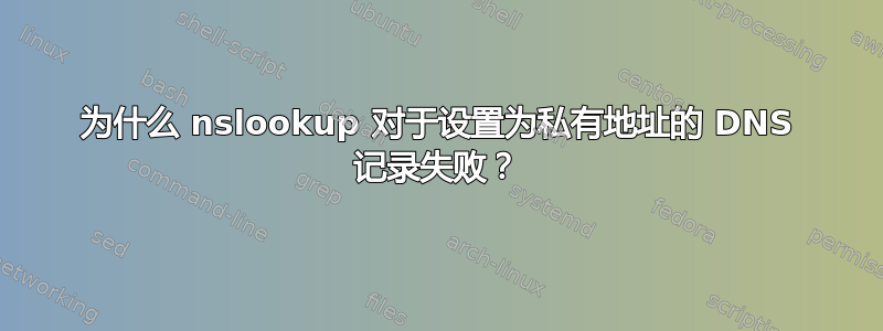 为什么 nslookup 对于设置为私有地址的 DNS 记录失败？