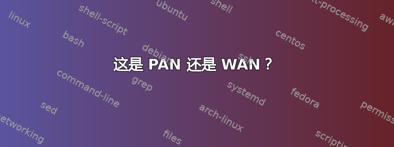 这是 PAN 还是 WAN？