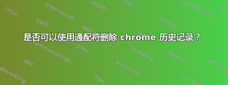 是否可以使用通配符删除 chrome 历史记录？