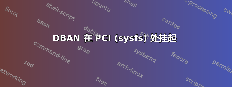 DBAN 在 PCI (sysfs) 处挂起