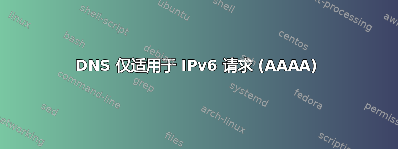 DNS 仅适用于 IPv6 请求 (AAAA)