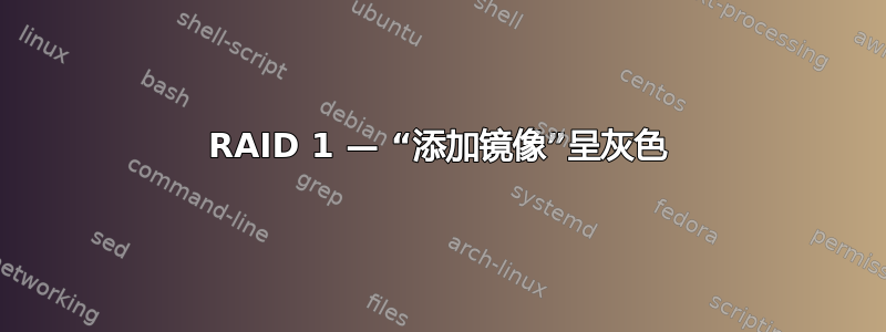 RAID 1 — “添加镜像”呈灰色