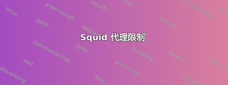 Squid 代理限制