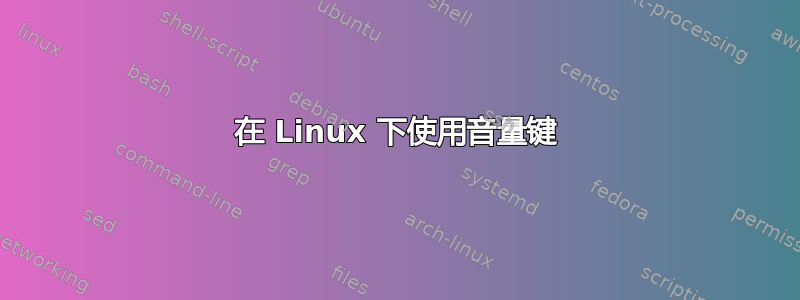 在 Linux 下使用音量键