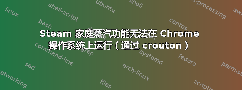 Steam 家庭蒸汽功能无法在 Chrome 操作系统上运行（通过 crouton）