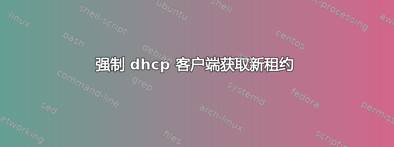 强制 dhcp 客户端获取新租约