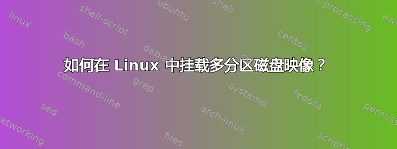 如何在 Linux 中挂载多分区磁盘映像？