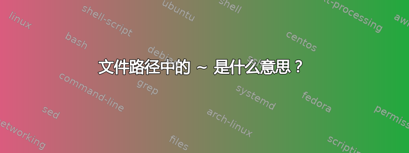 文件路径中的 ~ 是什么意思？