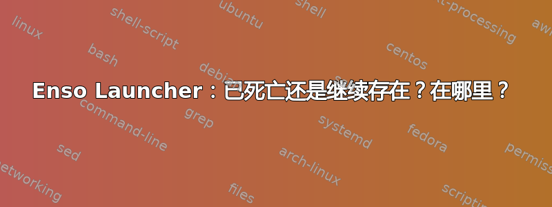 Enso Launcher：已死亡还是继续存在？在哪里？