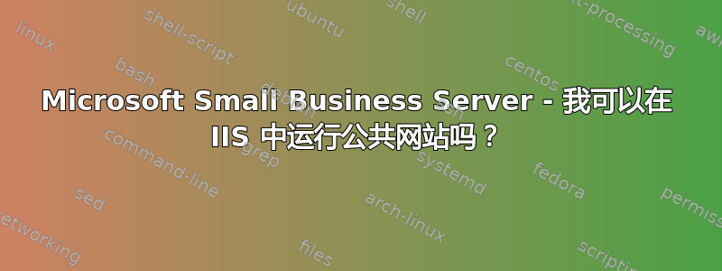 Microsoft Small Business Server - 我可以在 IIS 中运行公共网站吗？