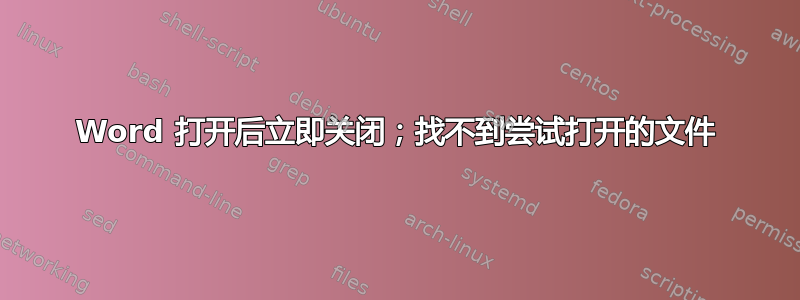 Word 打开后立即关闭；找不到尝试打开的文件