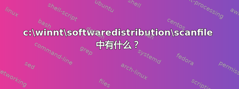 c:\winnt\softwaredistribution\scanfile 中有什么？