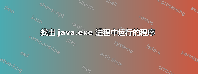 找出 java.exe 进程中运行的程序