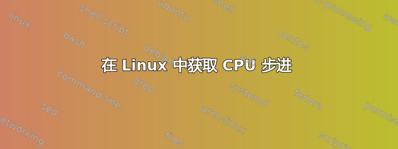 在 Linux 中获取 CPU 步进